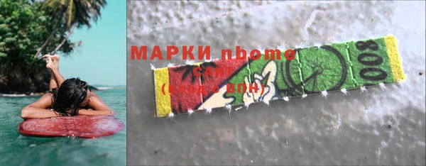 индика Вяземский