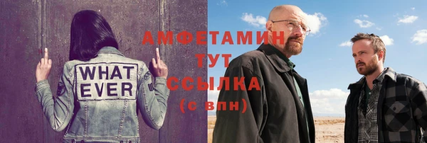 индика Вяземский