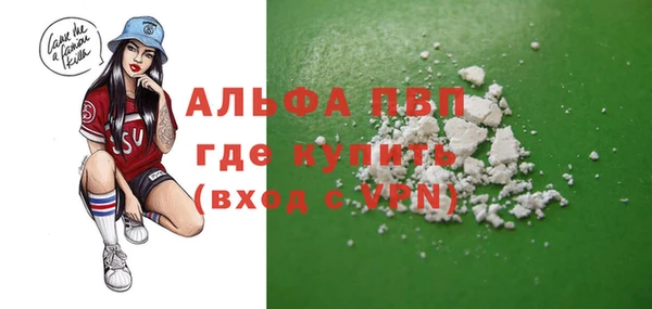 индика Вяземский