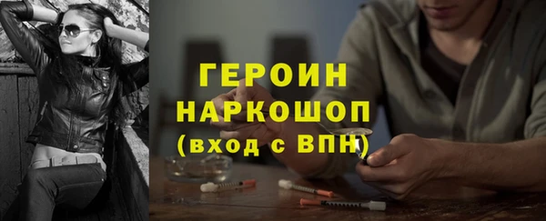 индика Вяземский