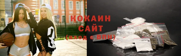 индика Вяземский