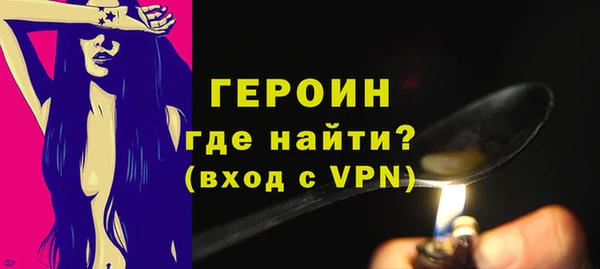 индика Вяземский