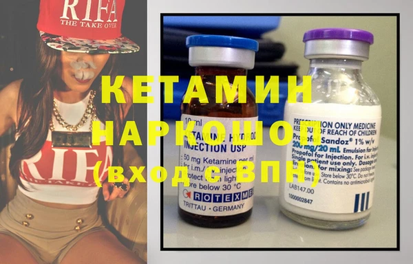индика Вяземский