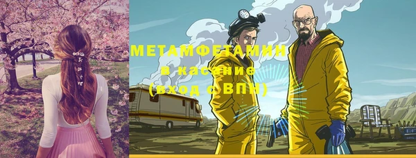 индика Вяземский
