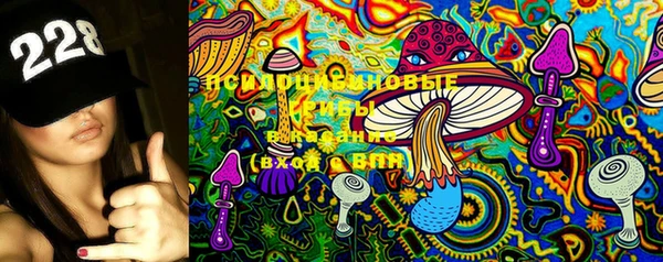 эйфоретик Вязники