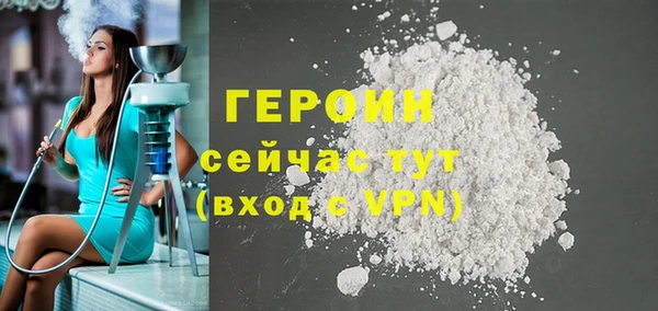 индика Вяземский