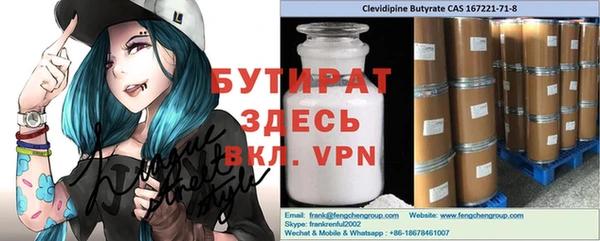 индика Вяземский