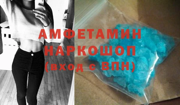 индика Вяземский