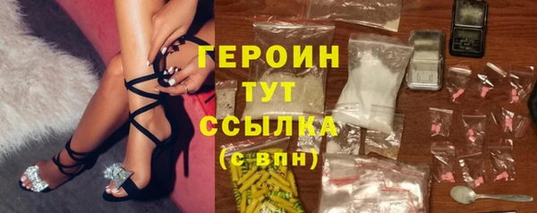 индика Вяземский