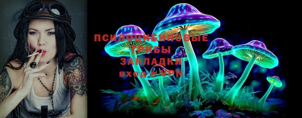 индика Вяземский