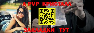 a pvp Будённовск