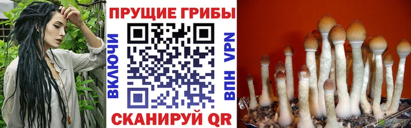 Псилоцибиновые грибы прущие грибы  купить наркотики сайты  Дзержинский 