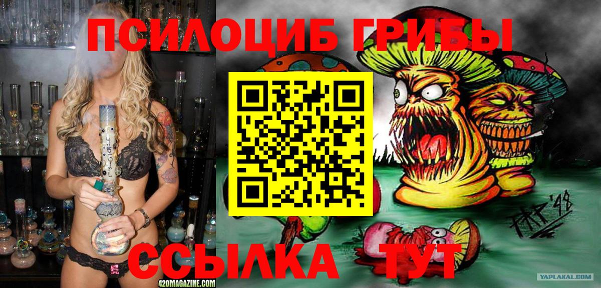 Псилоцибиновые грибы ЛСД Дзержинский